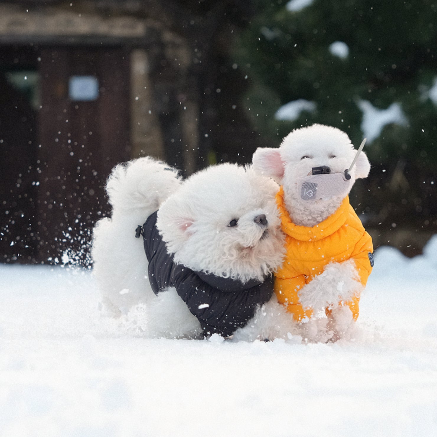 [SO-OW671] SSOOOK Goosefeel Padded Coveralls 3 (For Unisex)