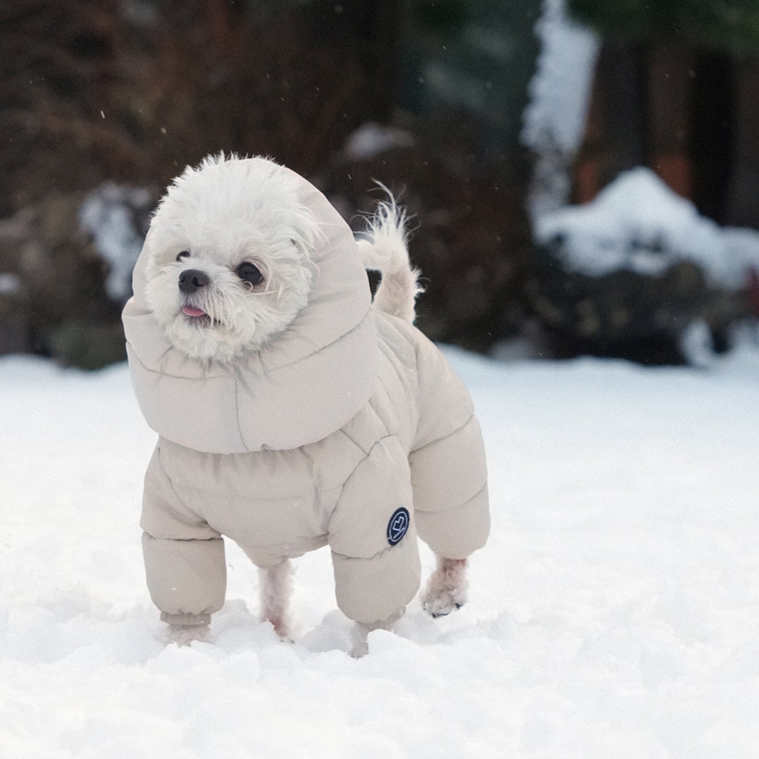 [SO-OW672] SSOOOK Goosefeel Padded Coveralls 3 (For Girls)