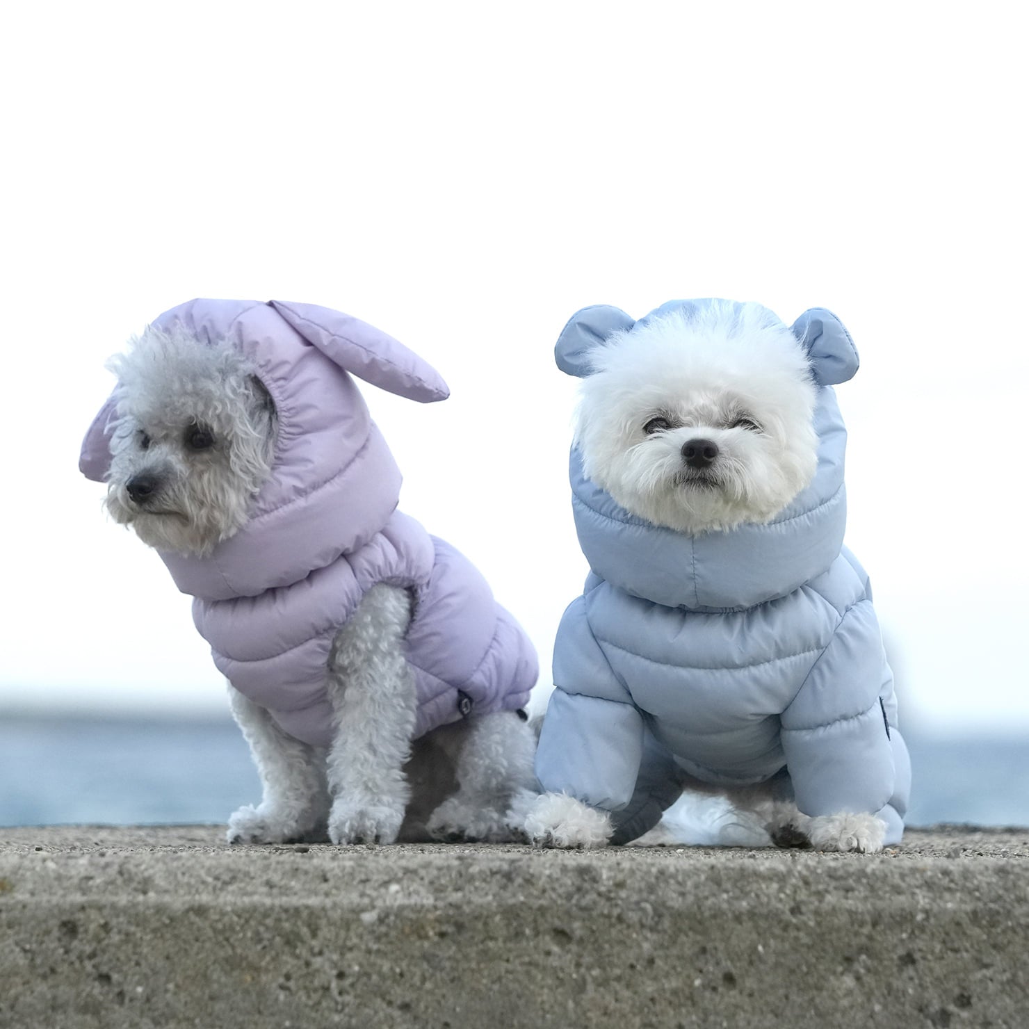 [SO-OW672] SSOOOK Goosefeel Padded Coveralls 3 (For Girls)