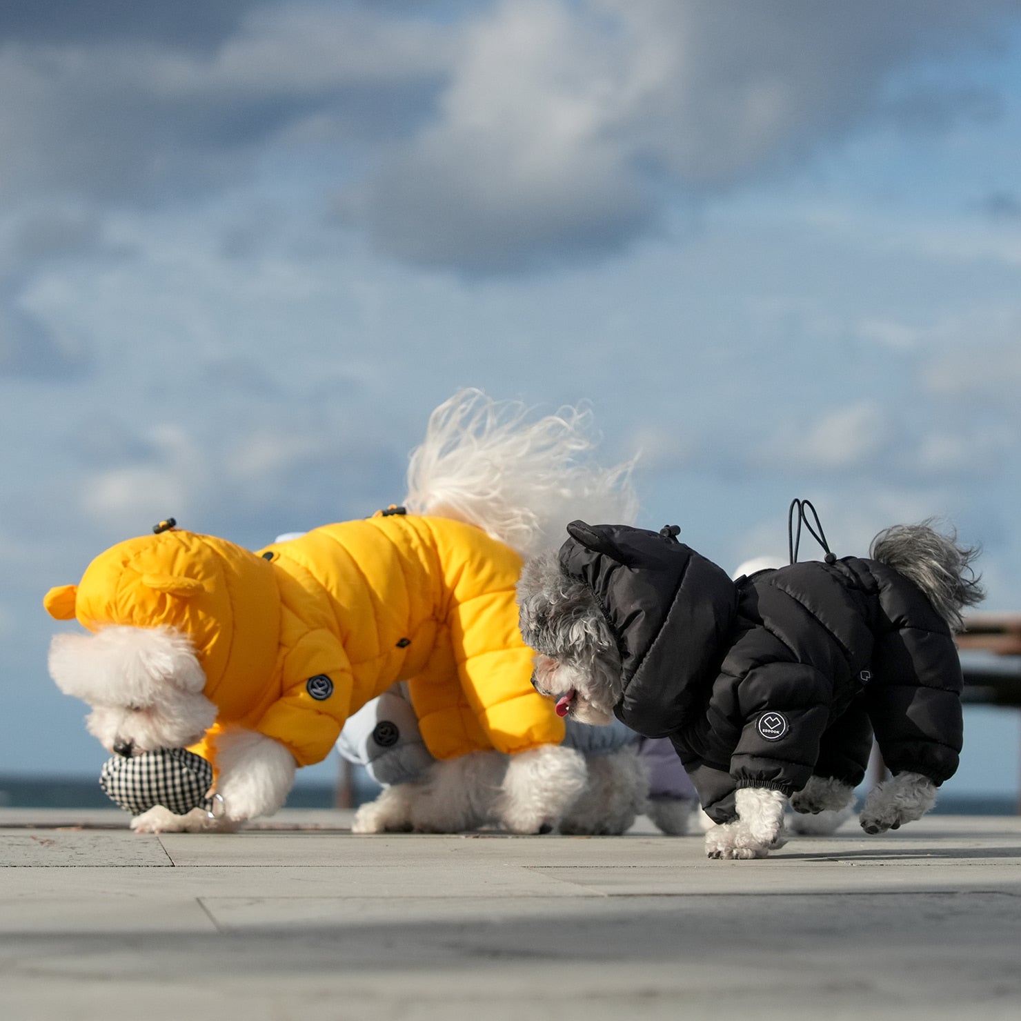 [SO-OW671] SSOOOK Goosefeel Padded Coveralls 3 (For Unisex)