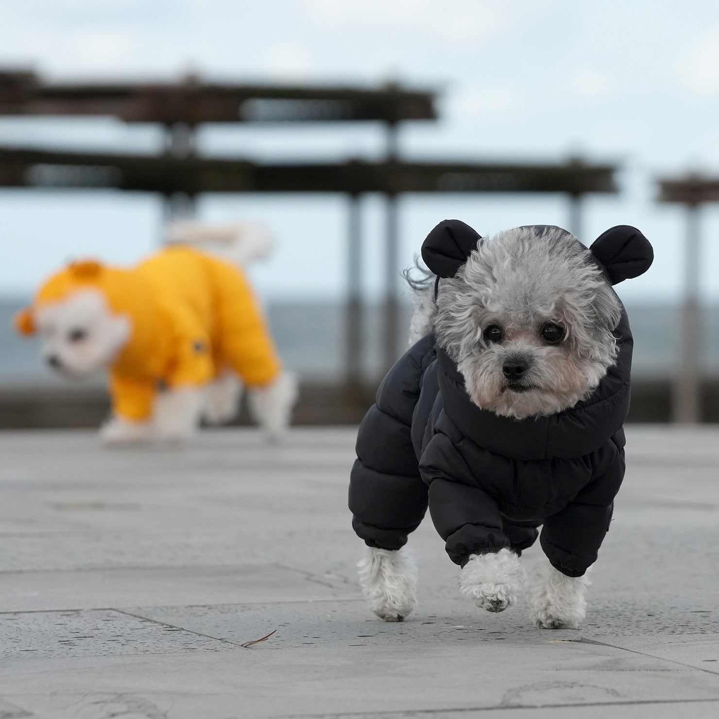 [SO-OW671] SSOOOK Goosefeel Padded Coveralls 3 (For Unisex)