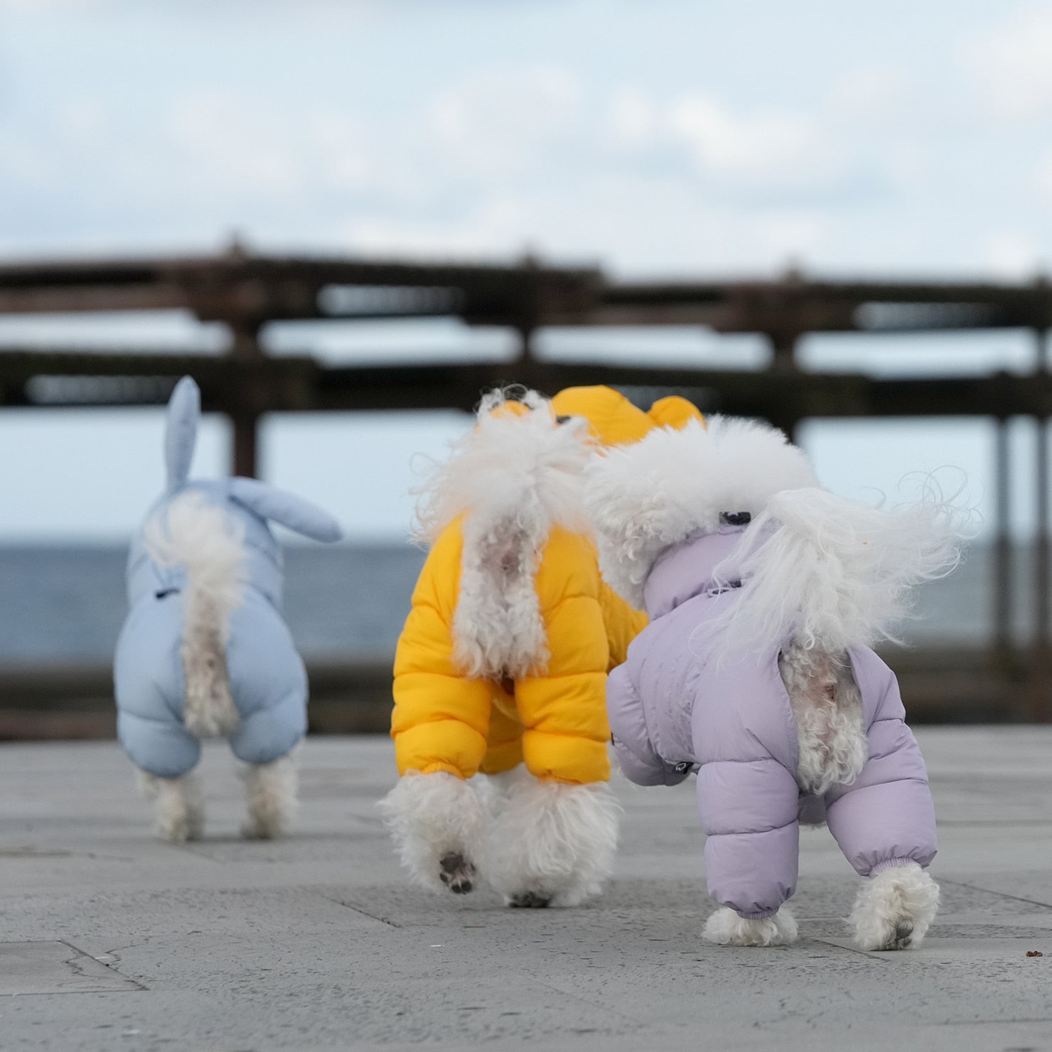 [SO-OW671] SSOOOK Goosefeel Padded Coveralls 3 (For Unisex)