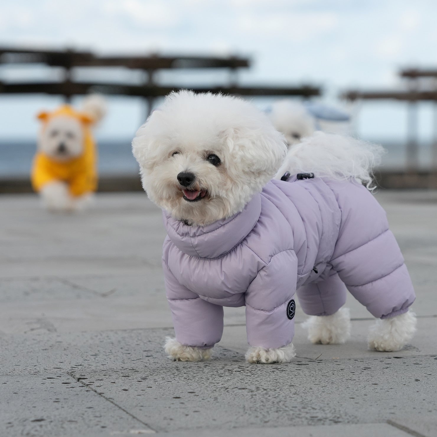 [SO-OW671] SSOOOK Goosefeel Padded Coveralls 3 (For Unisex)