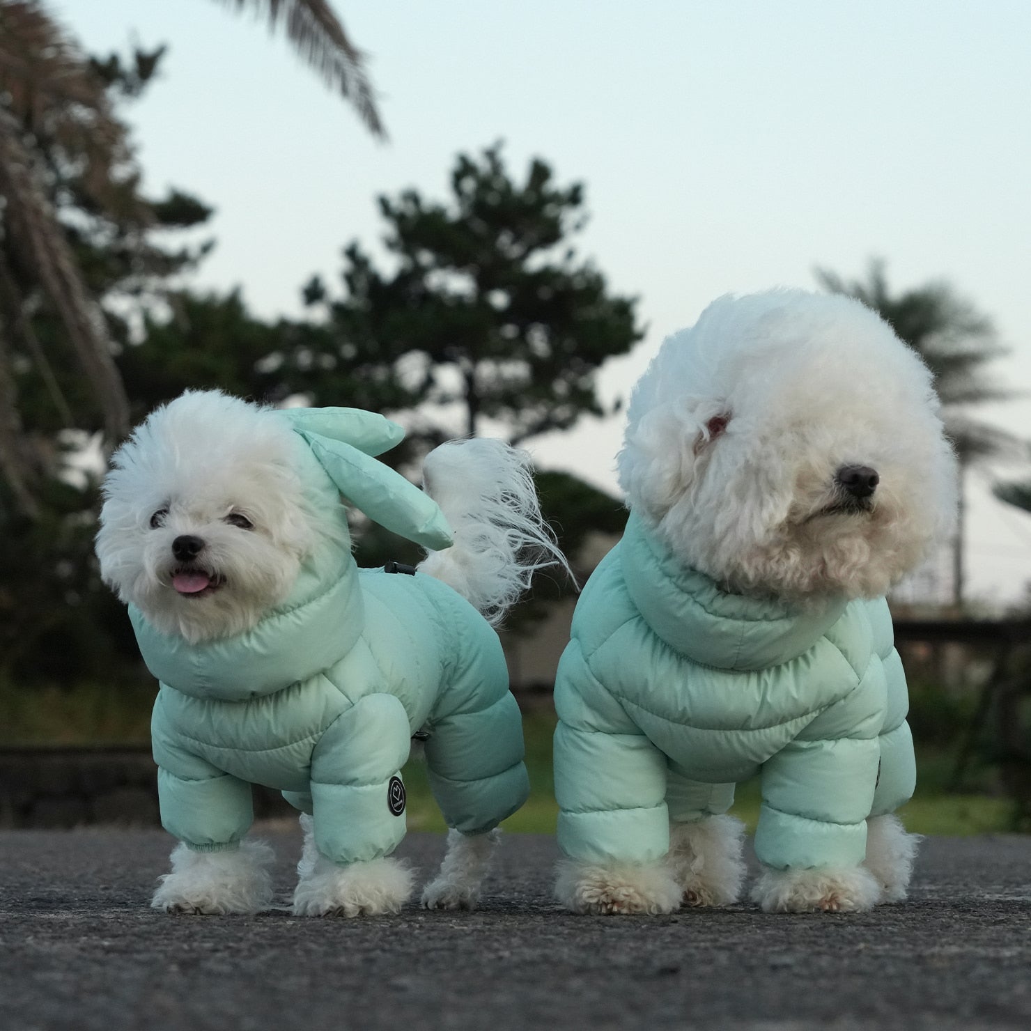 [SO-OW671] SSOOOK Goosefeel Padded Coveralls 3 (For Unisex)