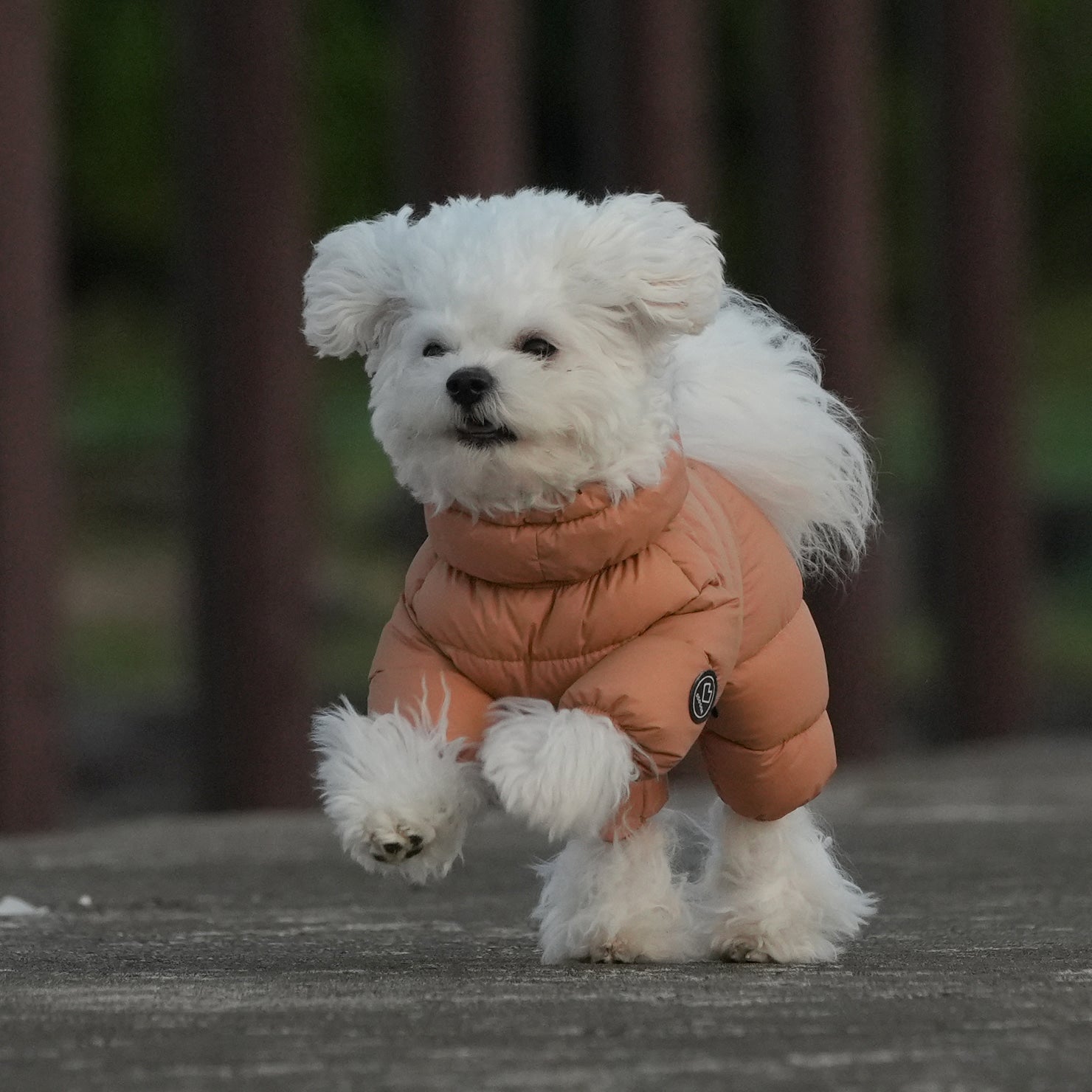 [SO-OW671] SSOOOK Goosefeel Padded Coveralls 3 (For Unisex)