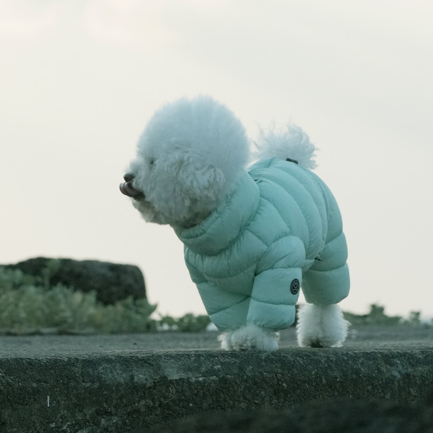 [SO-OW671] SSOOOK Goosefeel Padded Coveralls 3 (For Unisex)