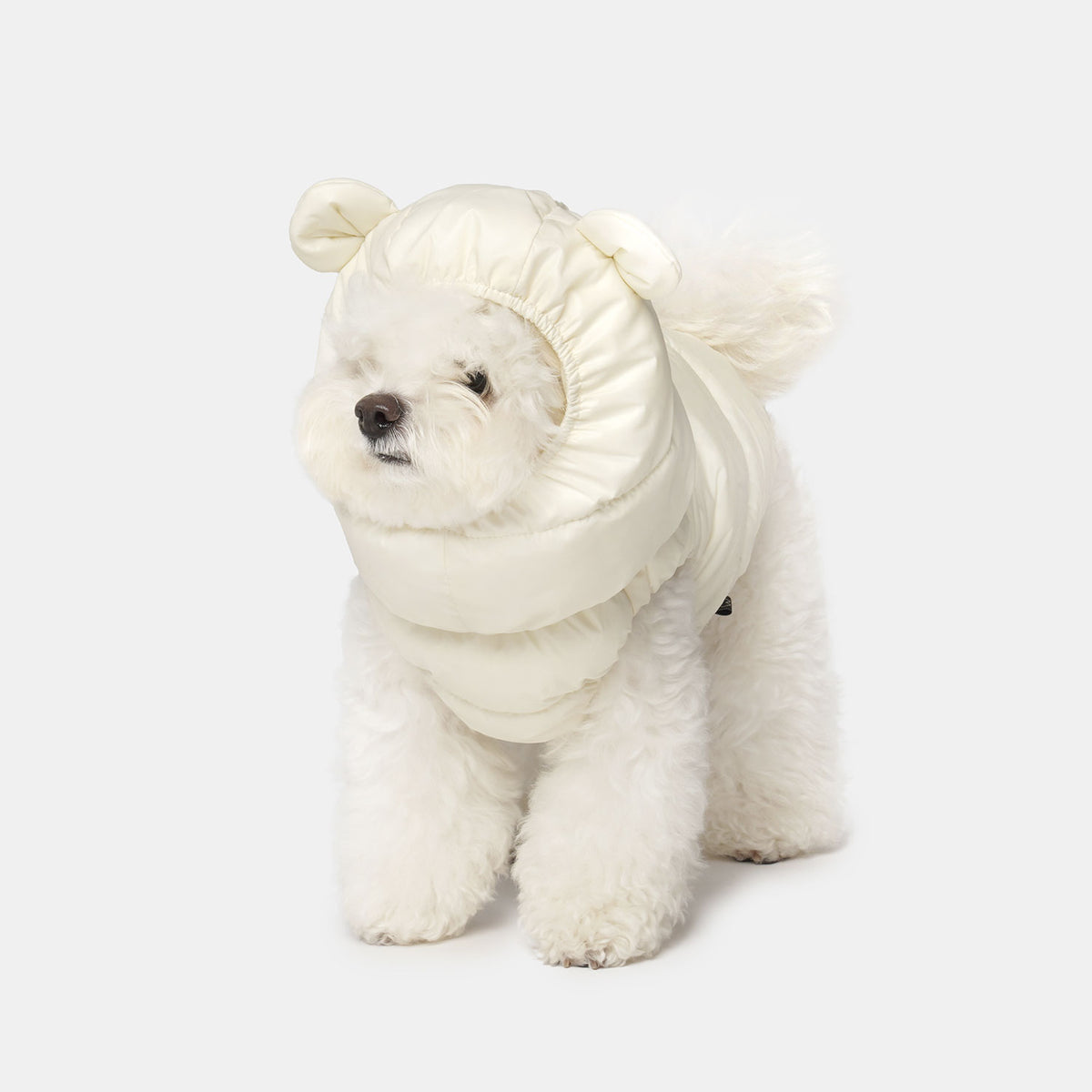 [SO-AC023] SSOOOK Goosefeel Bear Padded Hats