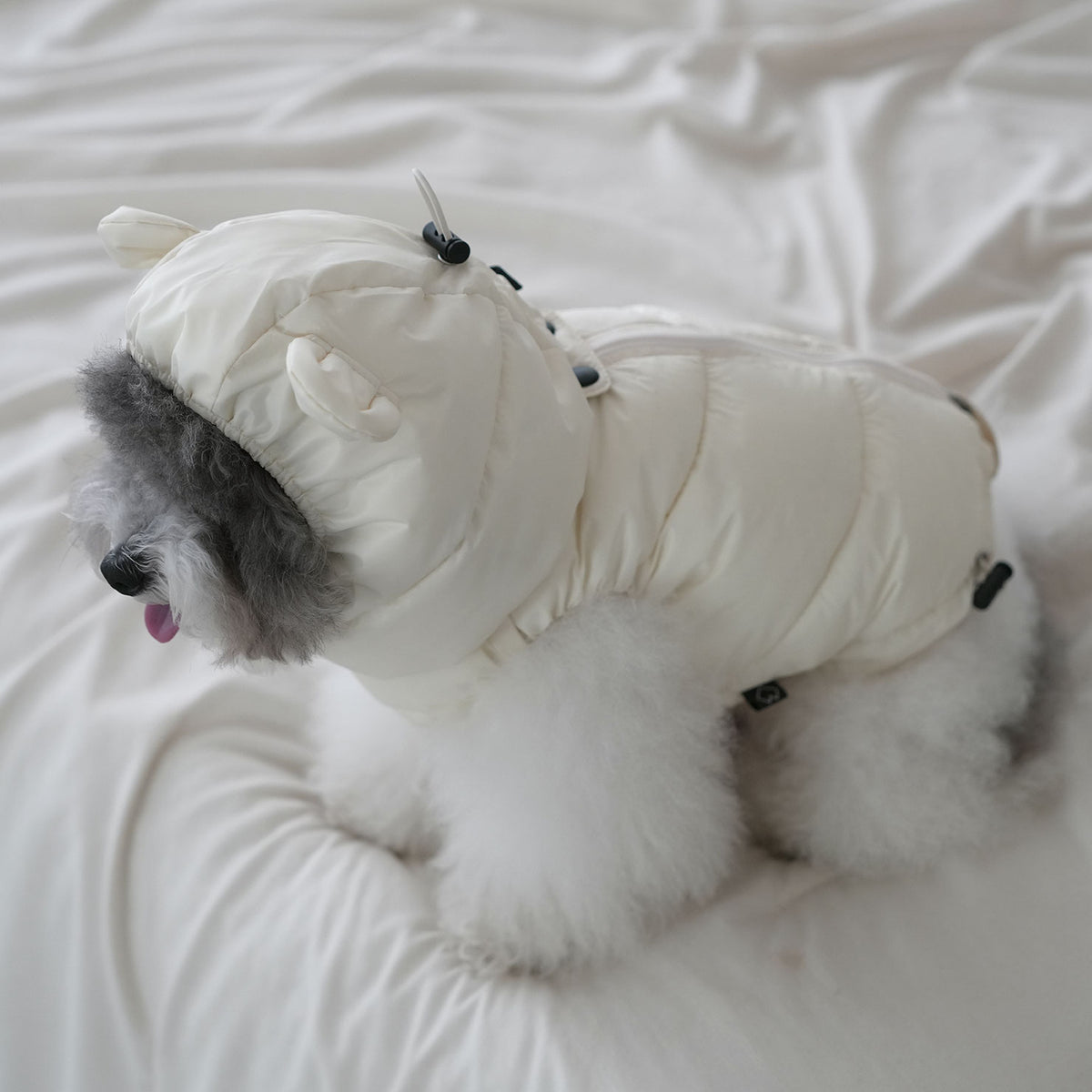 [SO-AC023] SSOOOK Goosefeel Bear Padded Hats