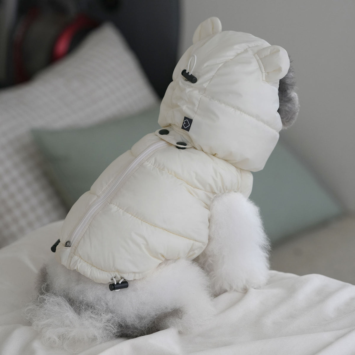 [SO-AC023] SSOOOK Goosefeel Bear Padded Hats