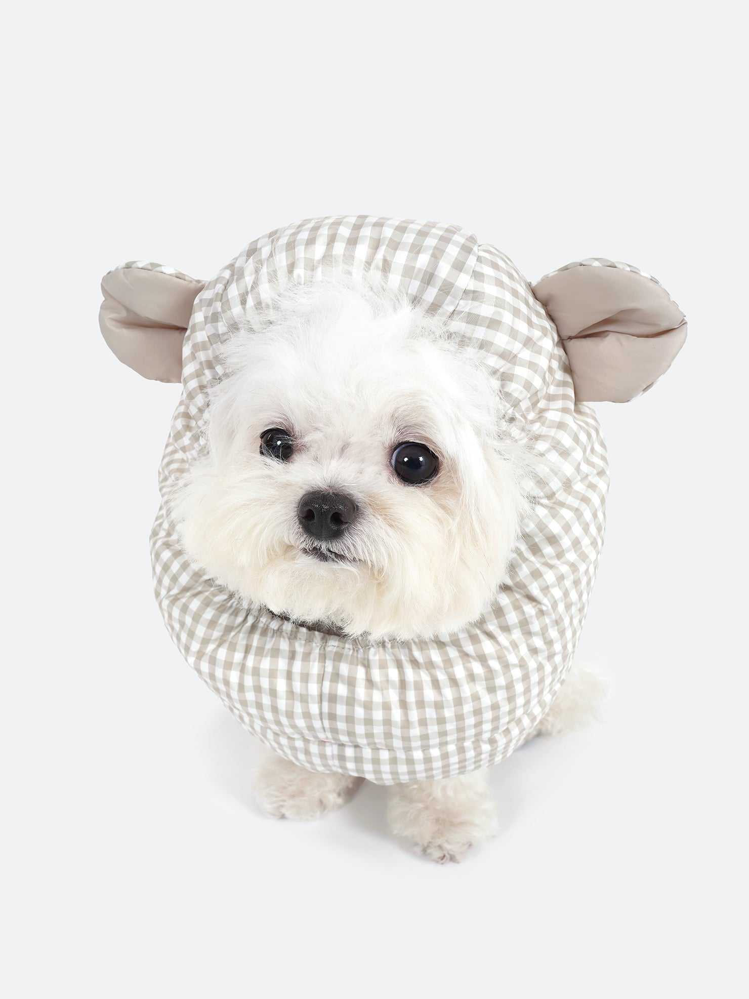 [SO-AC038] SSOOOK Goosefeel Check Bear Padded Hat