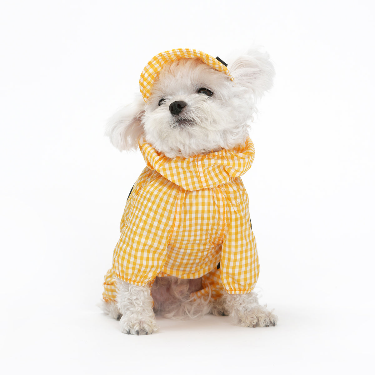 SSOOOK Check Sun Cap (SO-AC040)