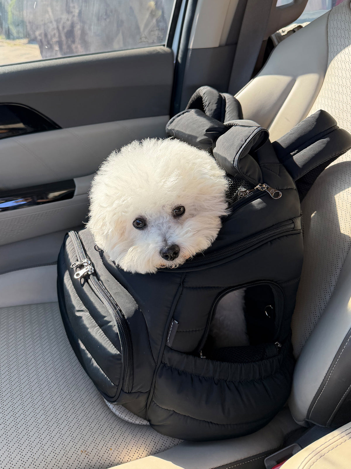[SO-CA404] SSOOOK GooseFeel Front Bag Carseat™ (V.Rooftop)