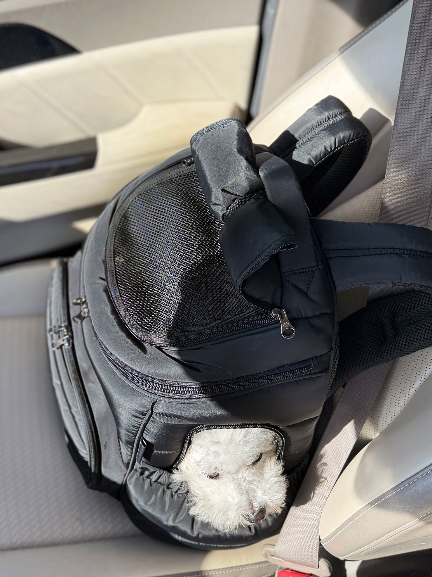 user_2a59b370 　SSOOOK [SO-CA404] SO-CA404] SSOOOK GooseFeel Front Bag (V.Rooftop)