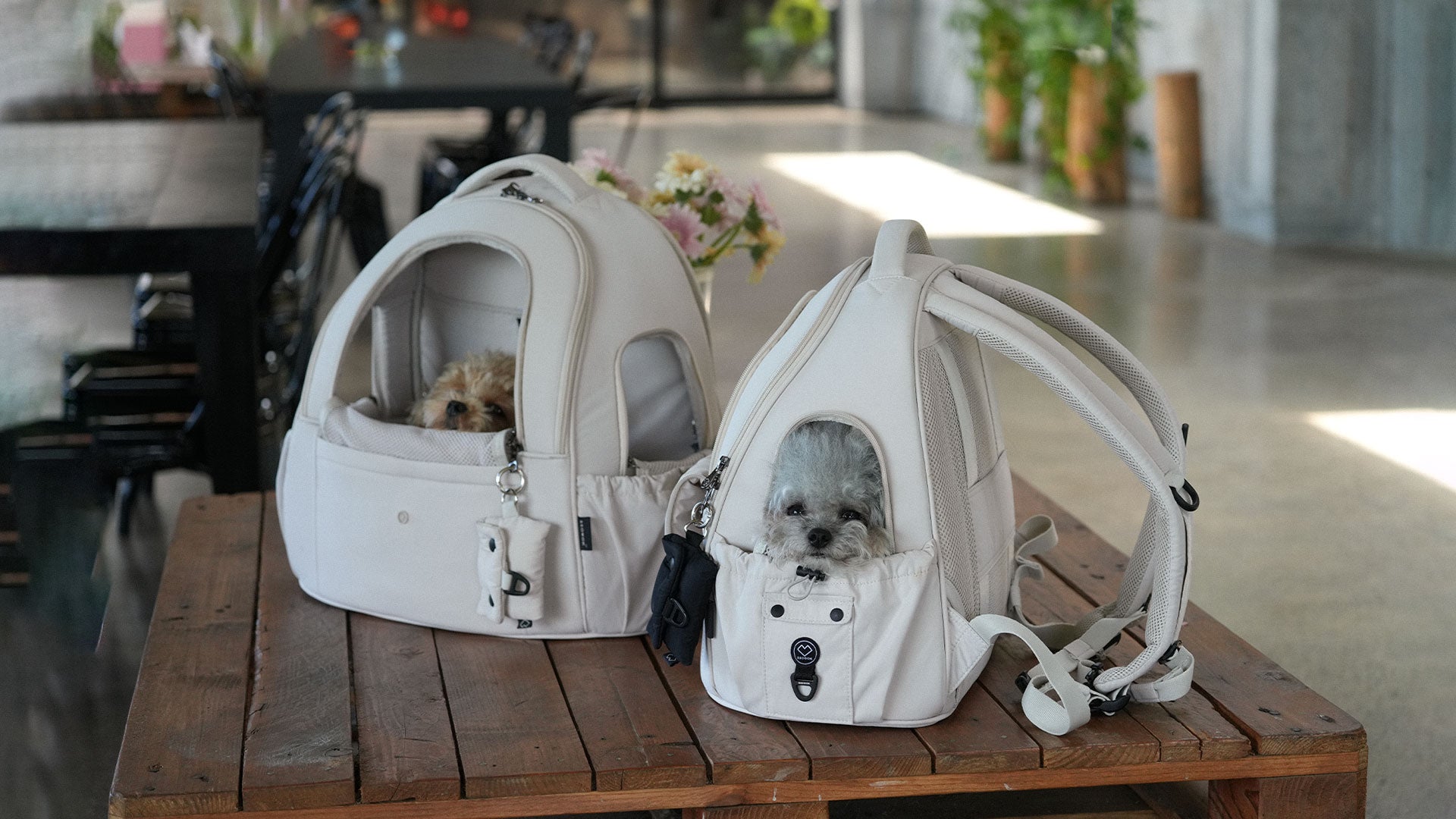 SSOOOK USA, Canada, UK and EU