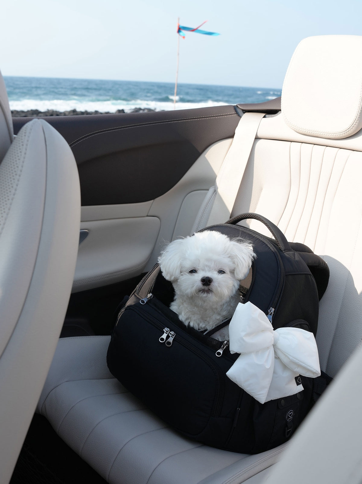[SO-CA419] SSOOOK Mesh Front Bag Carseat™ (V. Double Window)