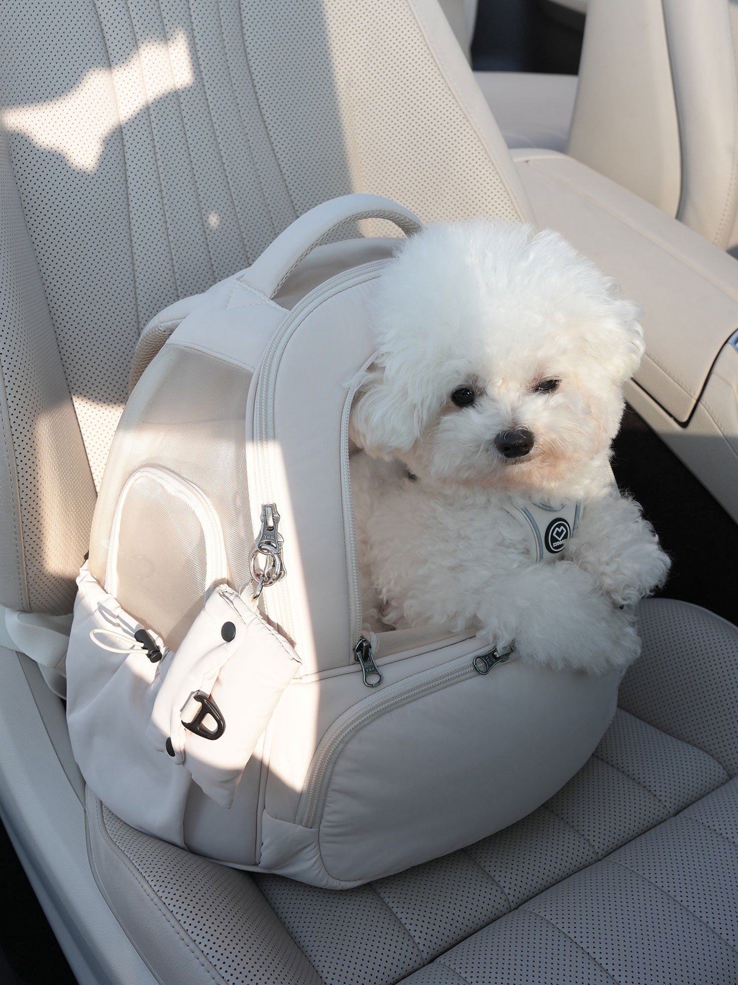 SO-CA419] SSOOOK Mesh Front Bag (V. Double Window)