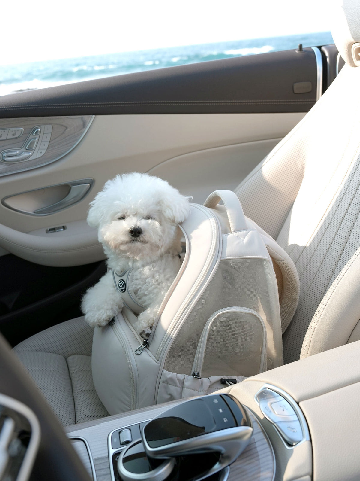 [SO-CA419] SSOOOK Mesh Front Bag Carseat™ (V. Double Window)