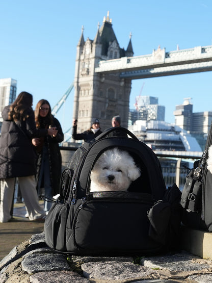 [SO-CA419] SSOOOK Mesh Front Bag (V. Doubleside Window)