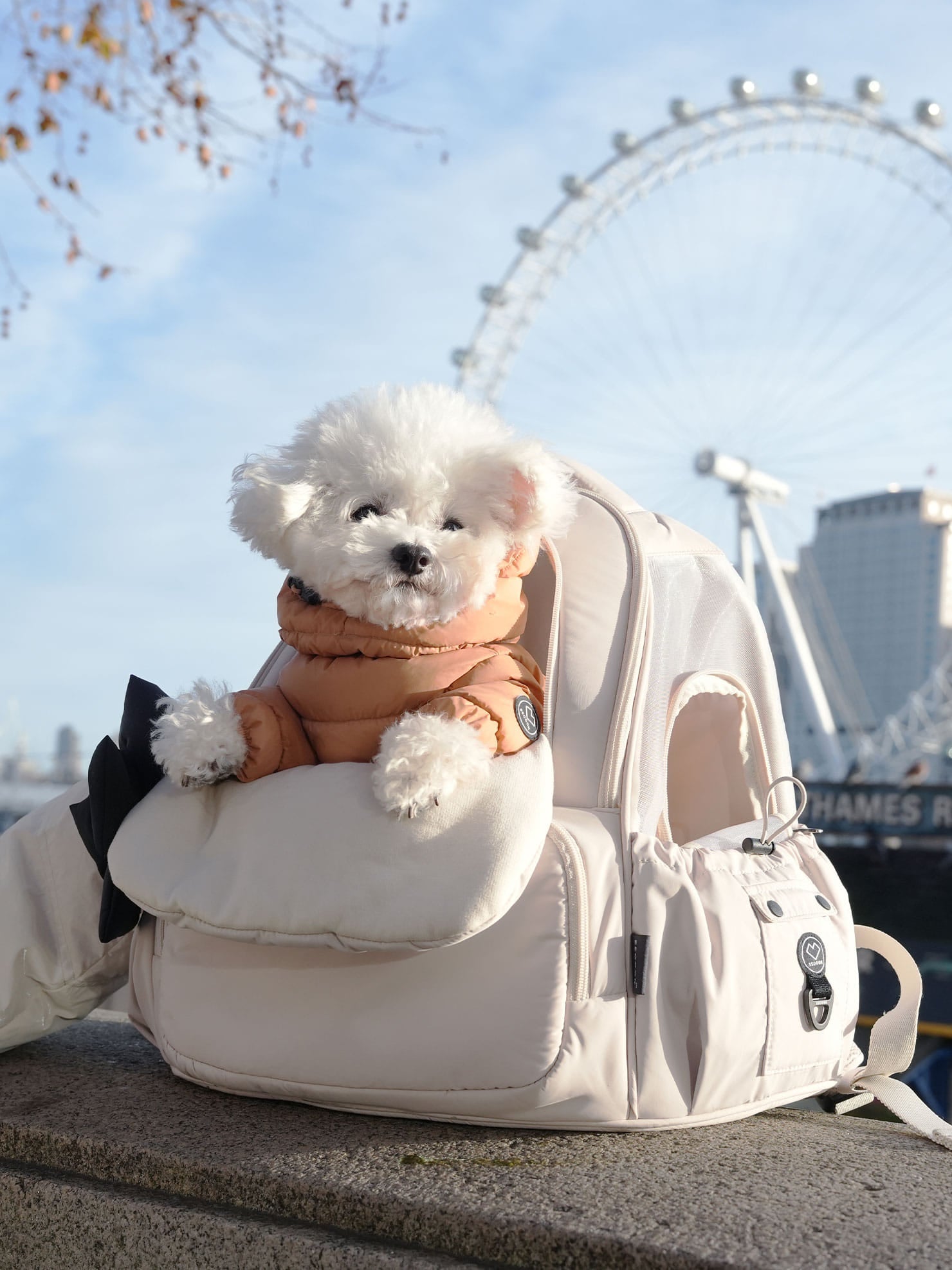 SO-CA419] SSOOOK Mesh Front Bag (V. Double Window)