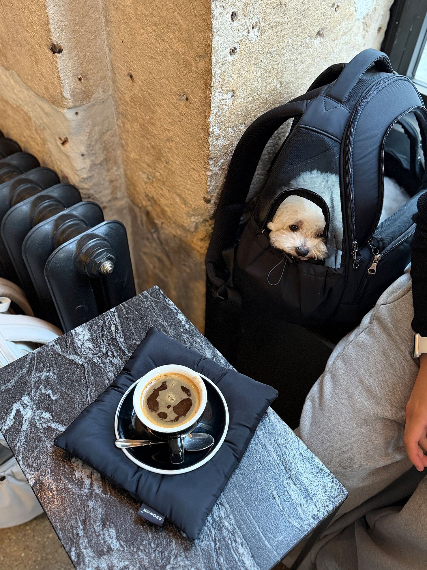 [SO-CA419] SSOOOK Mesh Front Bag (V. Doubleside Window)