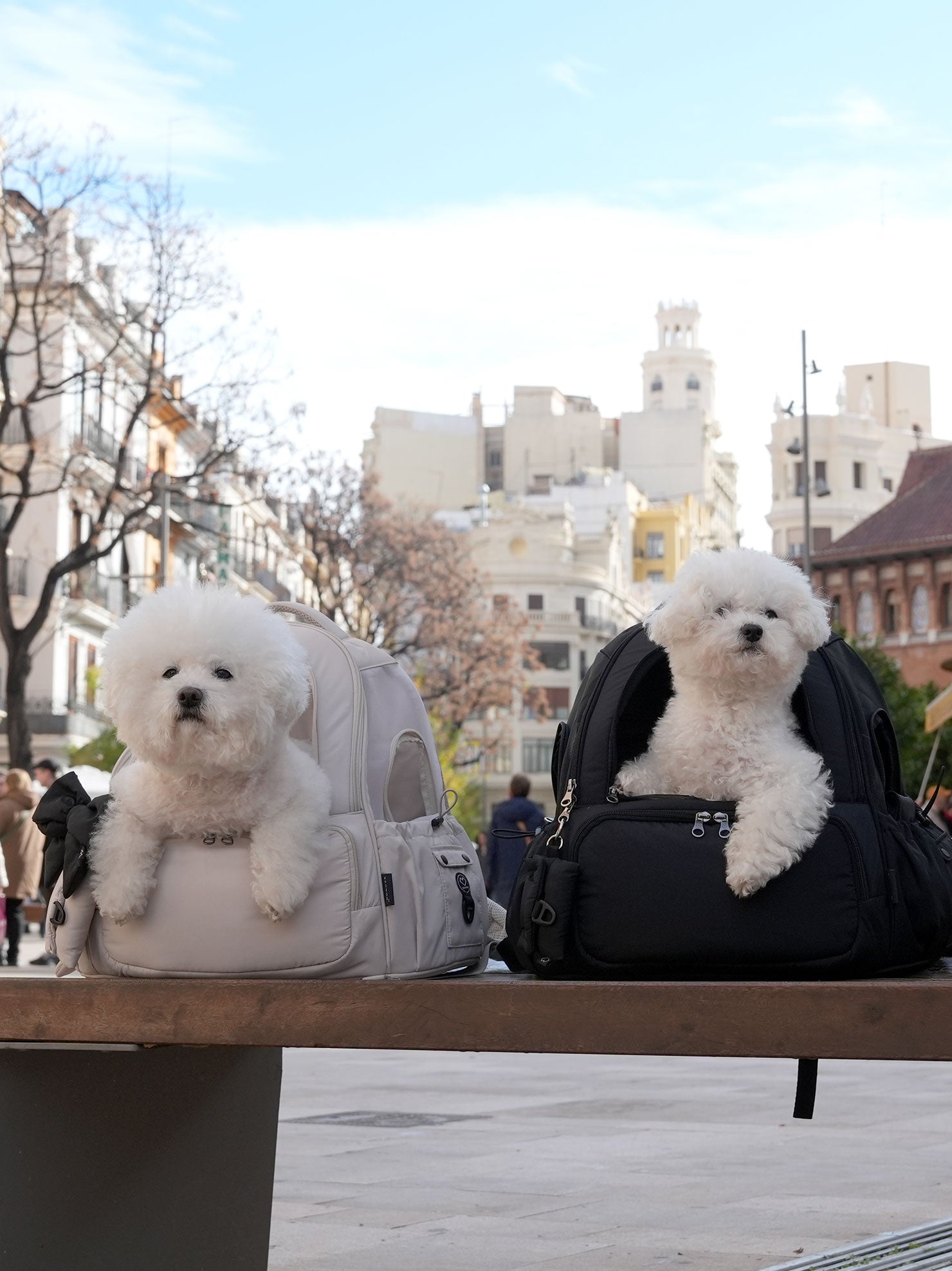 [SO-CA419] SSOOOK Mesh Front Bag (V. Doubleside Window)