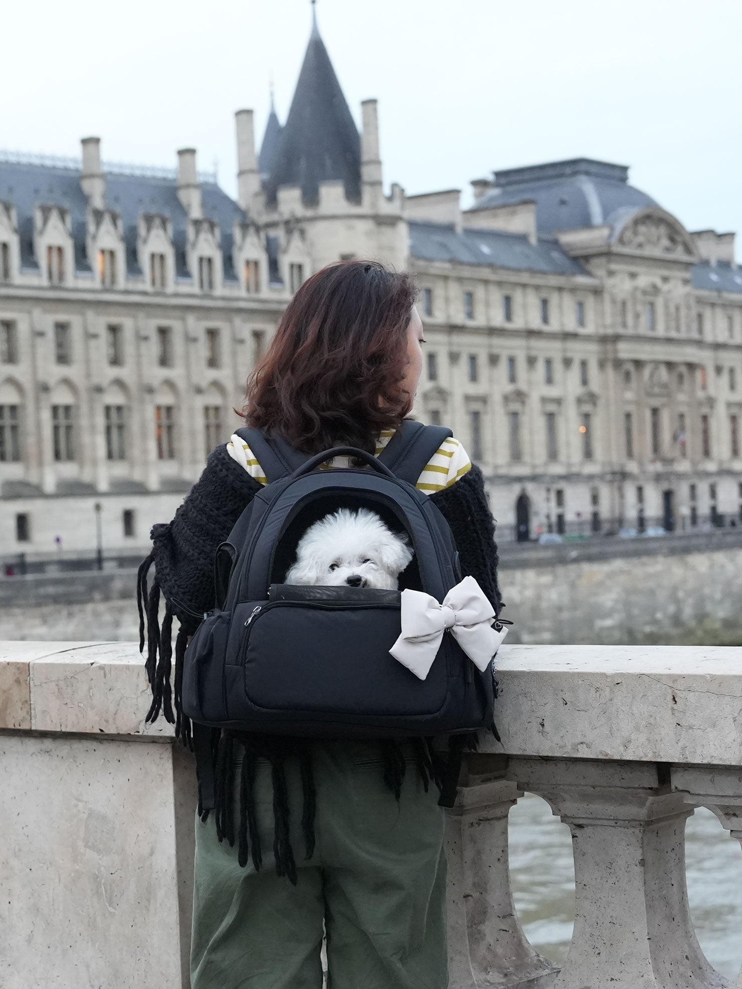SO-CA419] SSOOOK Mesh Front Bag (V. Double Window)
