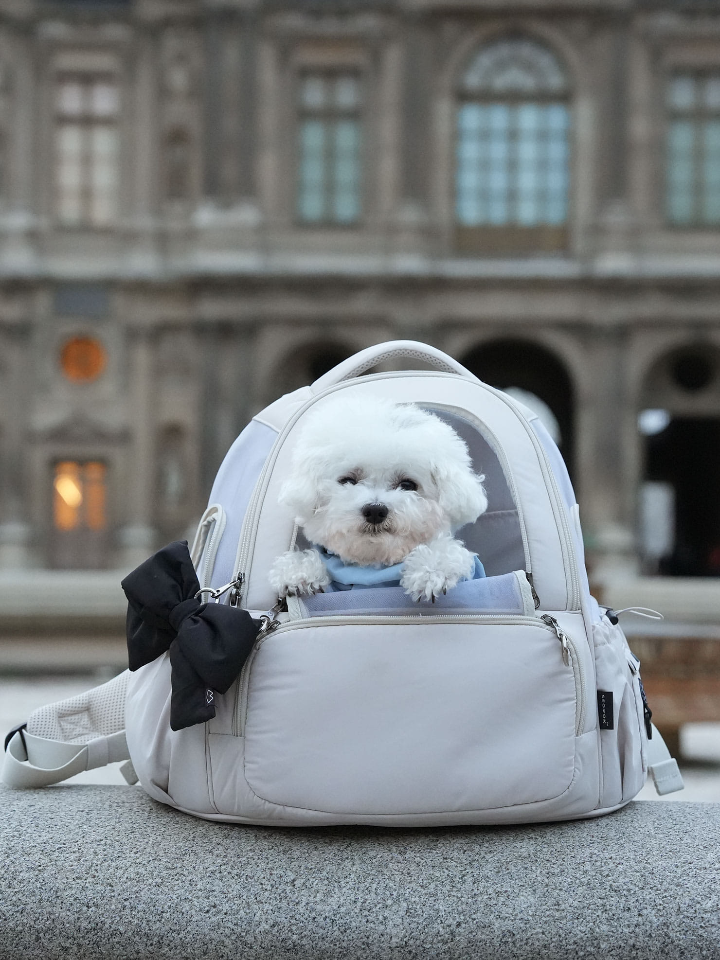 [SO-CA419] SSOOOK Mesh Front Bag (V. Doubleside Window)