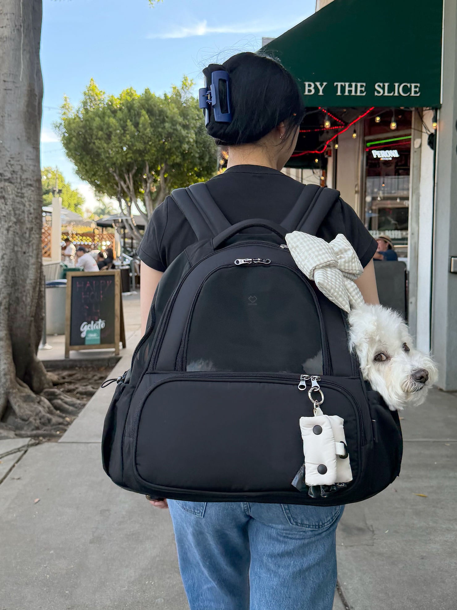 [SO-CA419] SSOOOK Mesh Front Bag (V. Doubleside Window)