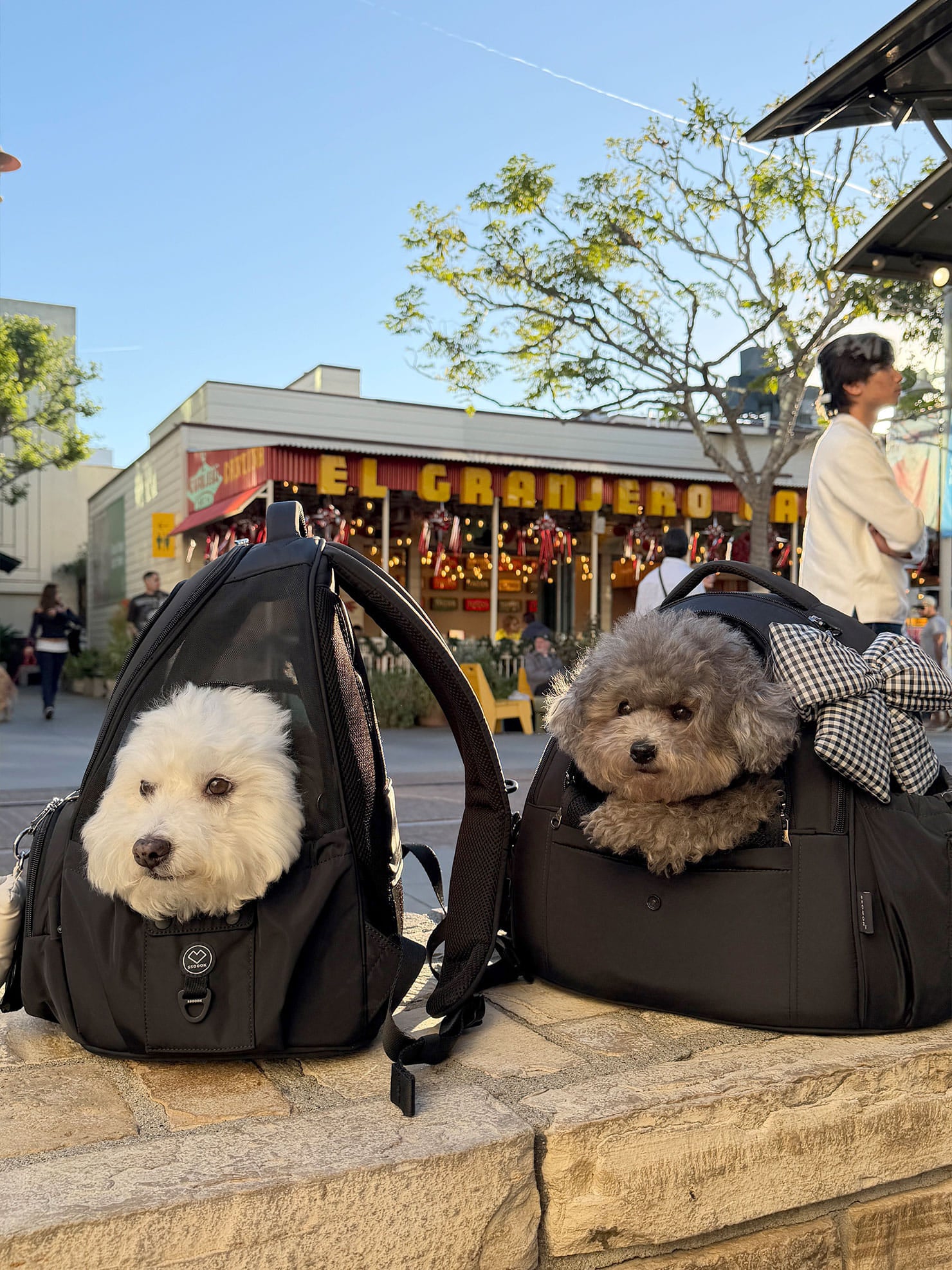 [SO-CA419] SSOOOK Mesh Front Bag (V. Doubleside Window)