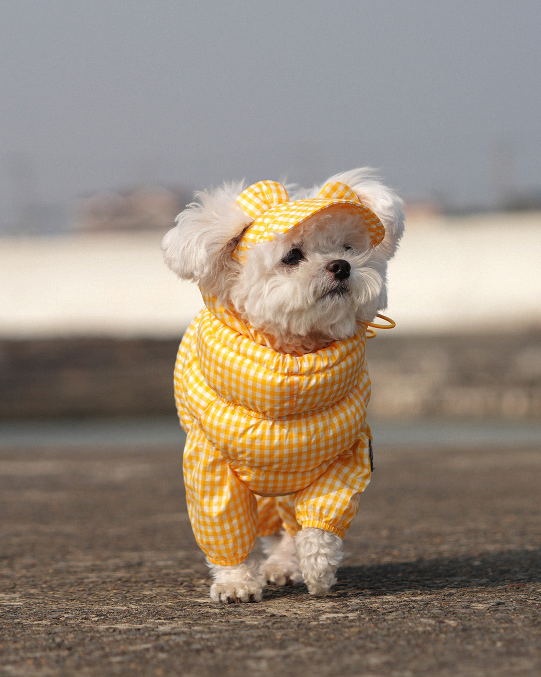 [SO-OW870] SSOOOK GooseFeel Check Padded Vest