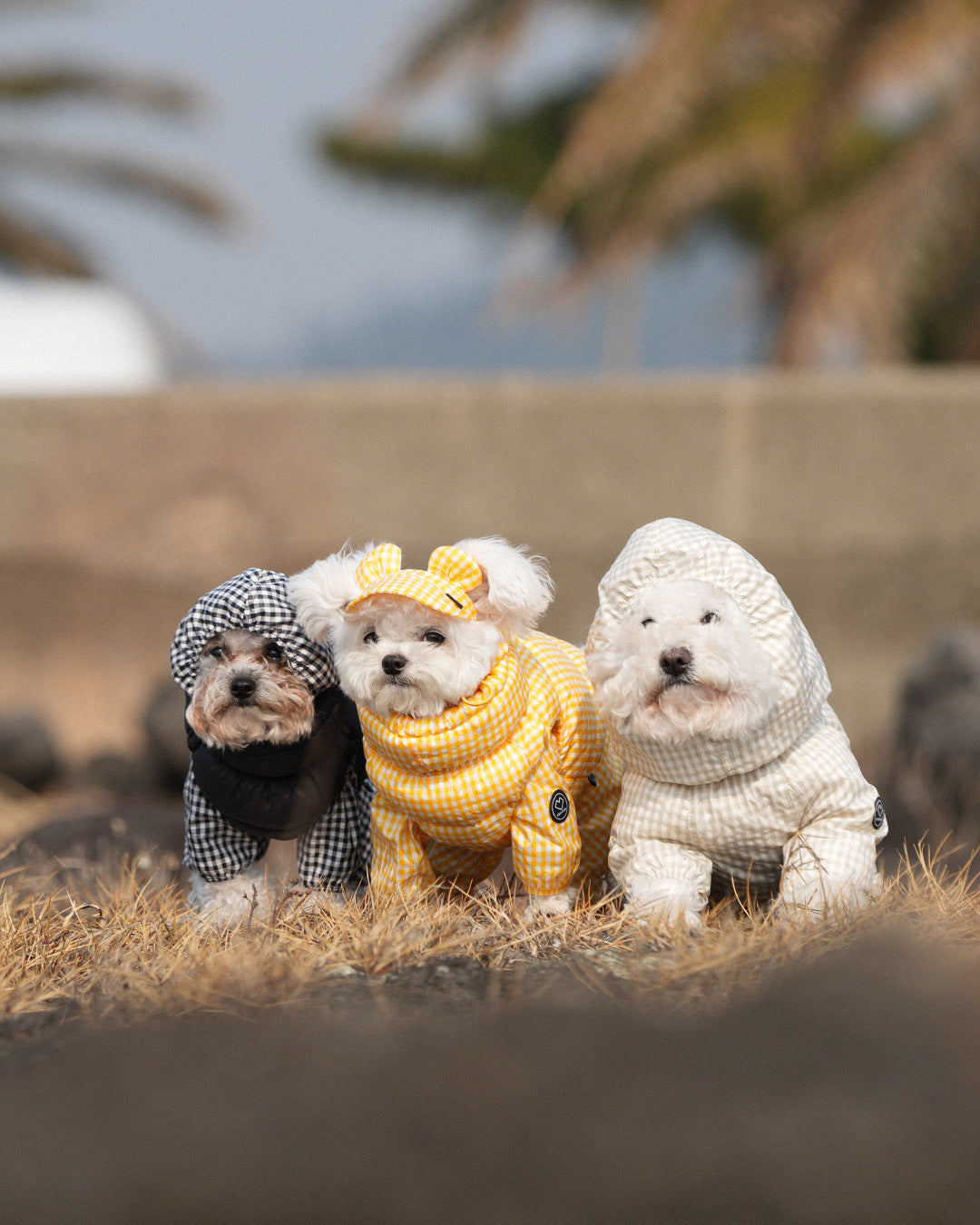 [SO-OW870] SSOOOK GooseFeel Check Padded Vest