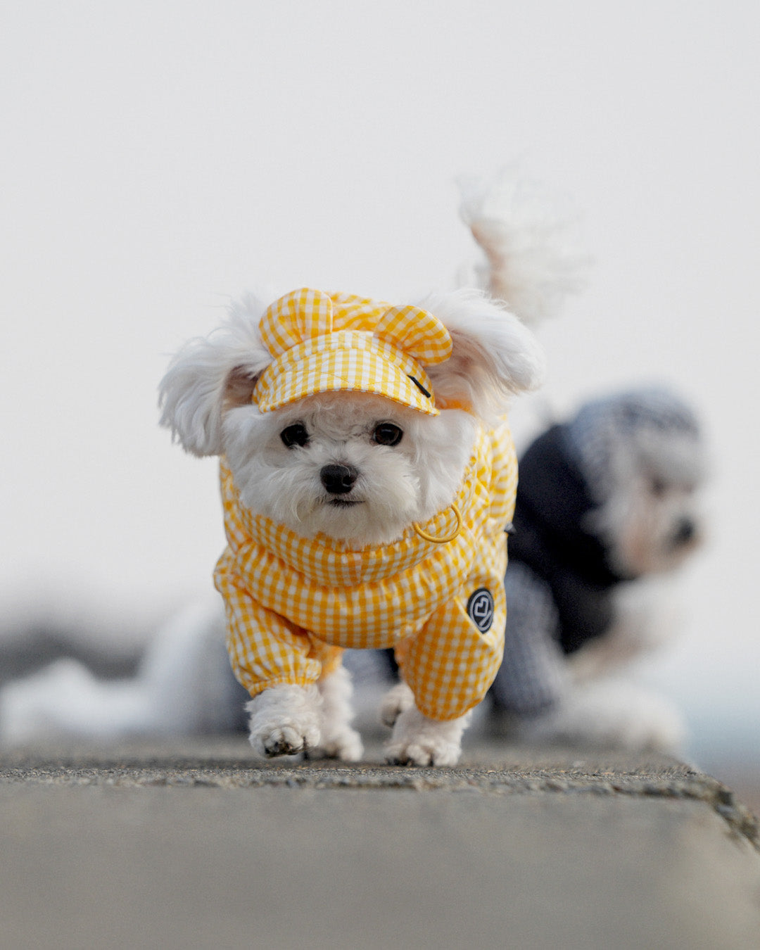 [SO-OW870] SSOOOK GooseFeel Check Padded Vest