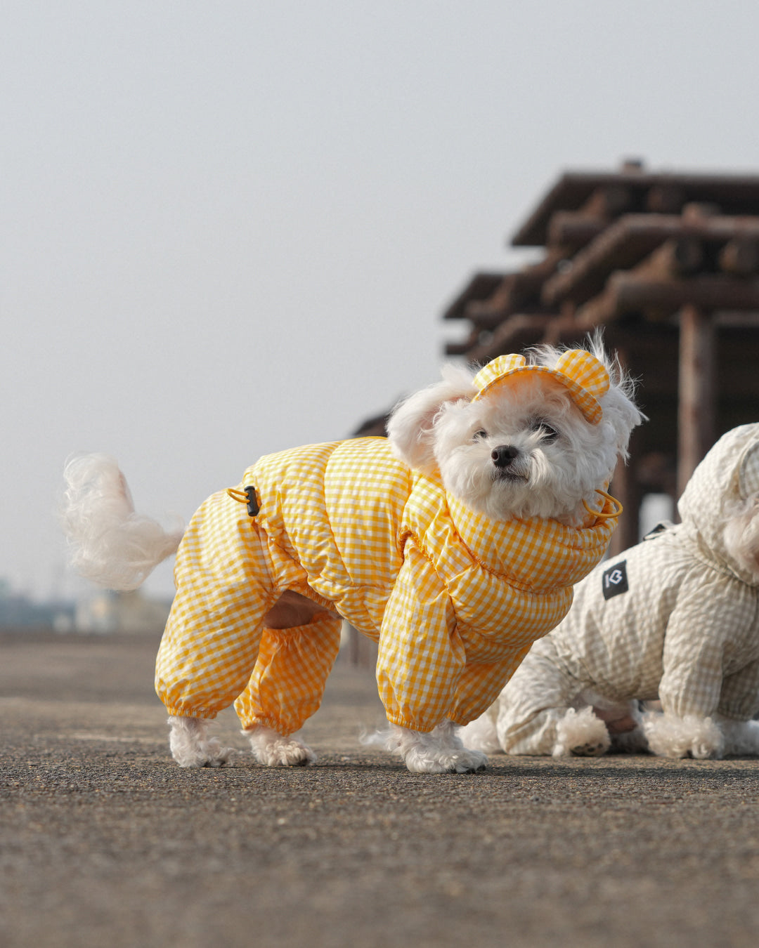 [SO-OW870] SSOOOK GooseFeel Check Padded Vest