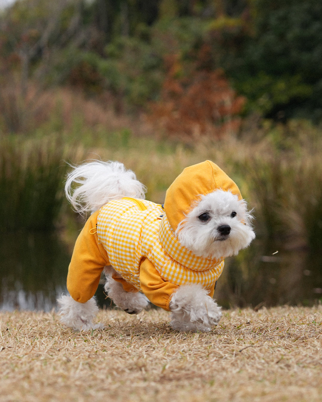 [SO-OW870] SSOOOK GooseFeel Check Padded Vest