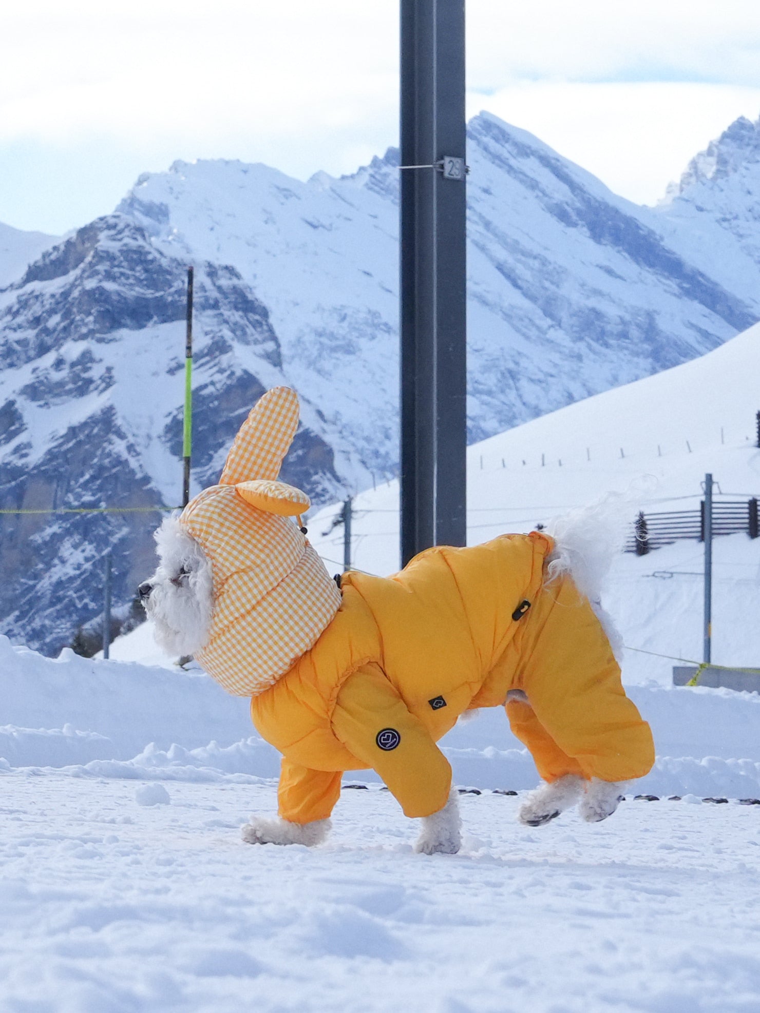 [SO-OW870] SSOOOK GooseFeel Check Padded Vest