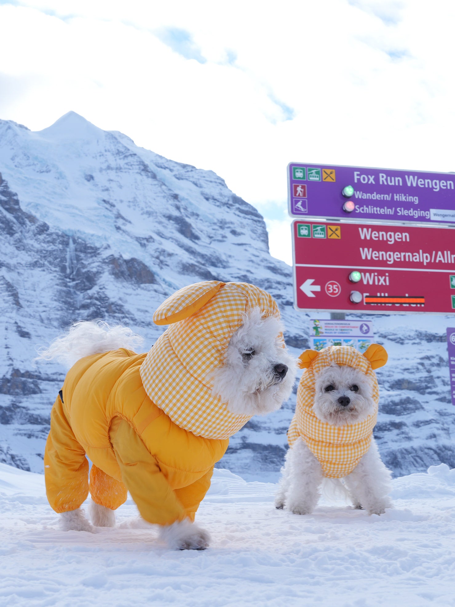 [SO-OW870] SSOOOK GooseFeel Check Padded Vest