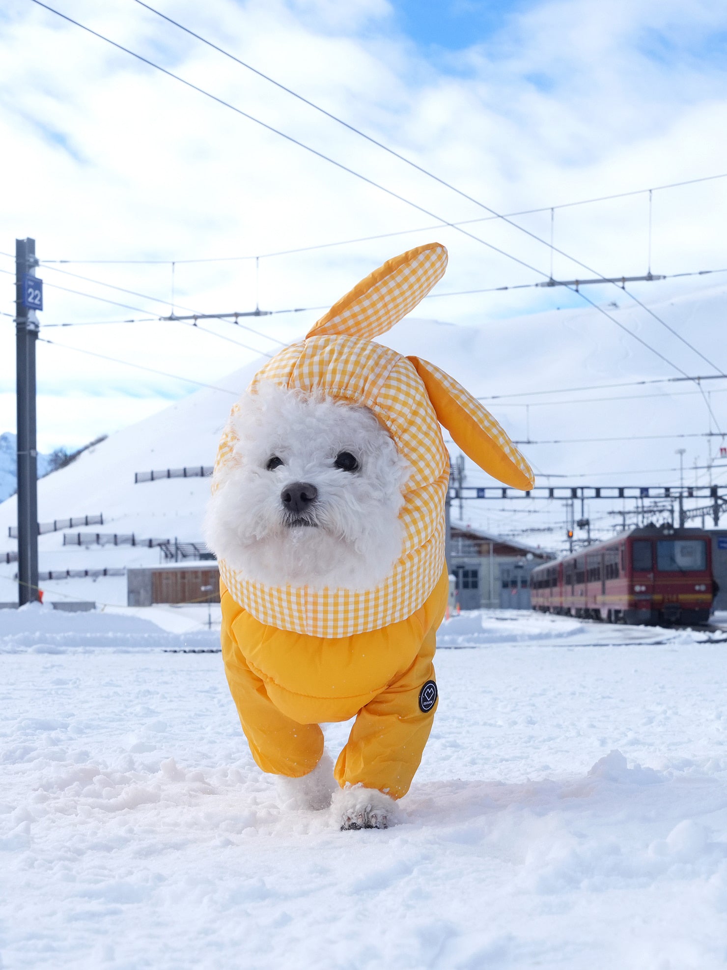 [SO-OW870] SSOOOK GooseFeel Check Padded Vest