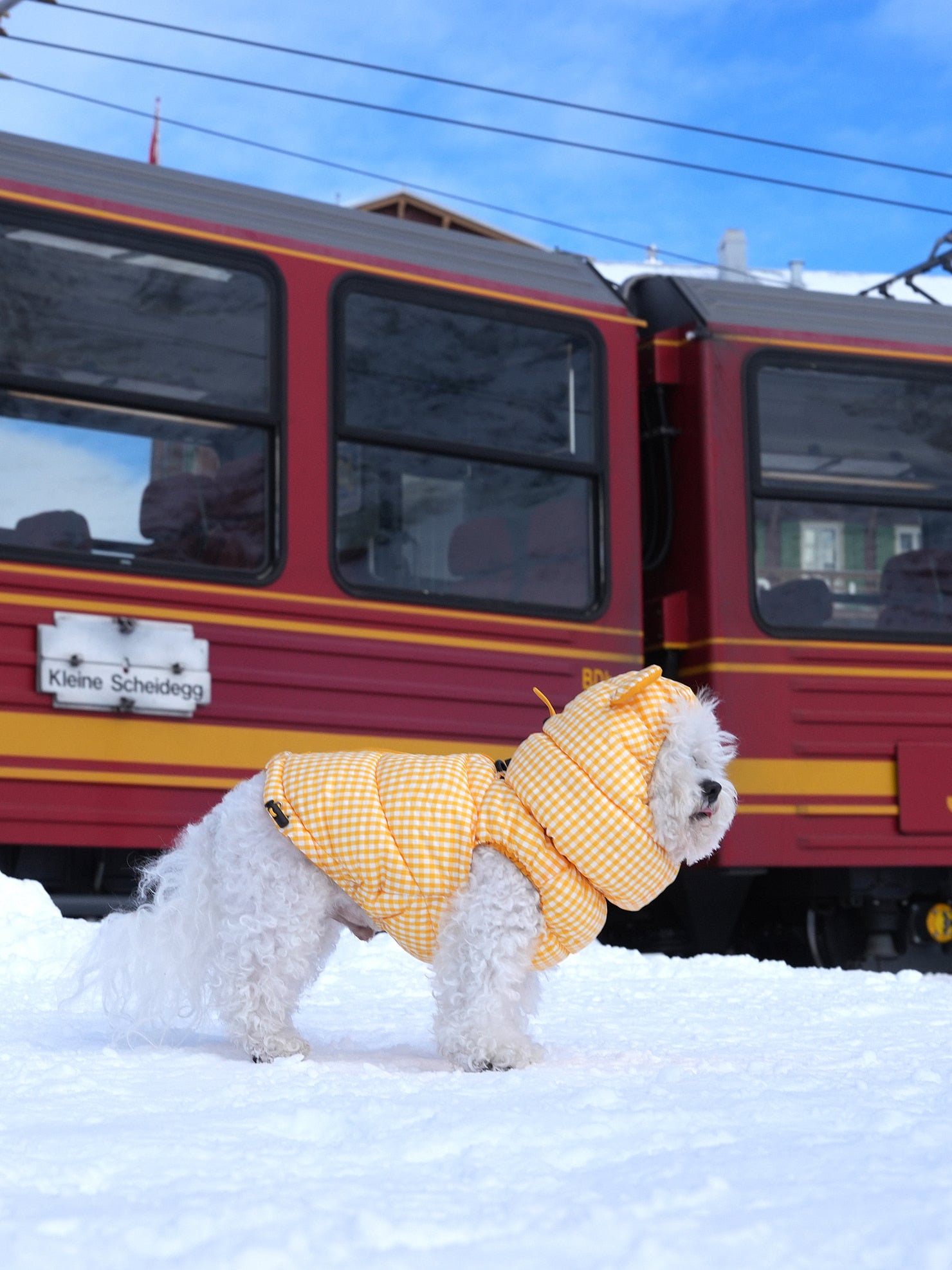 [SO-OW870] SSOOOK GooseFeel Check Padded Vest