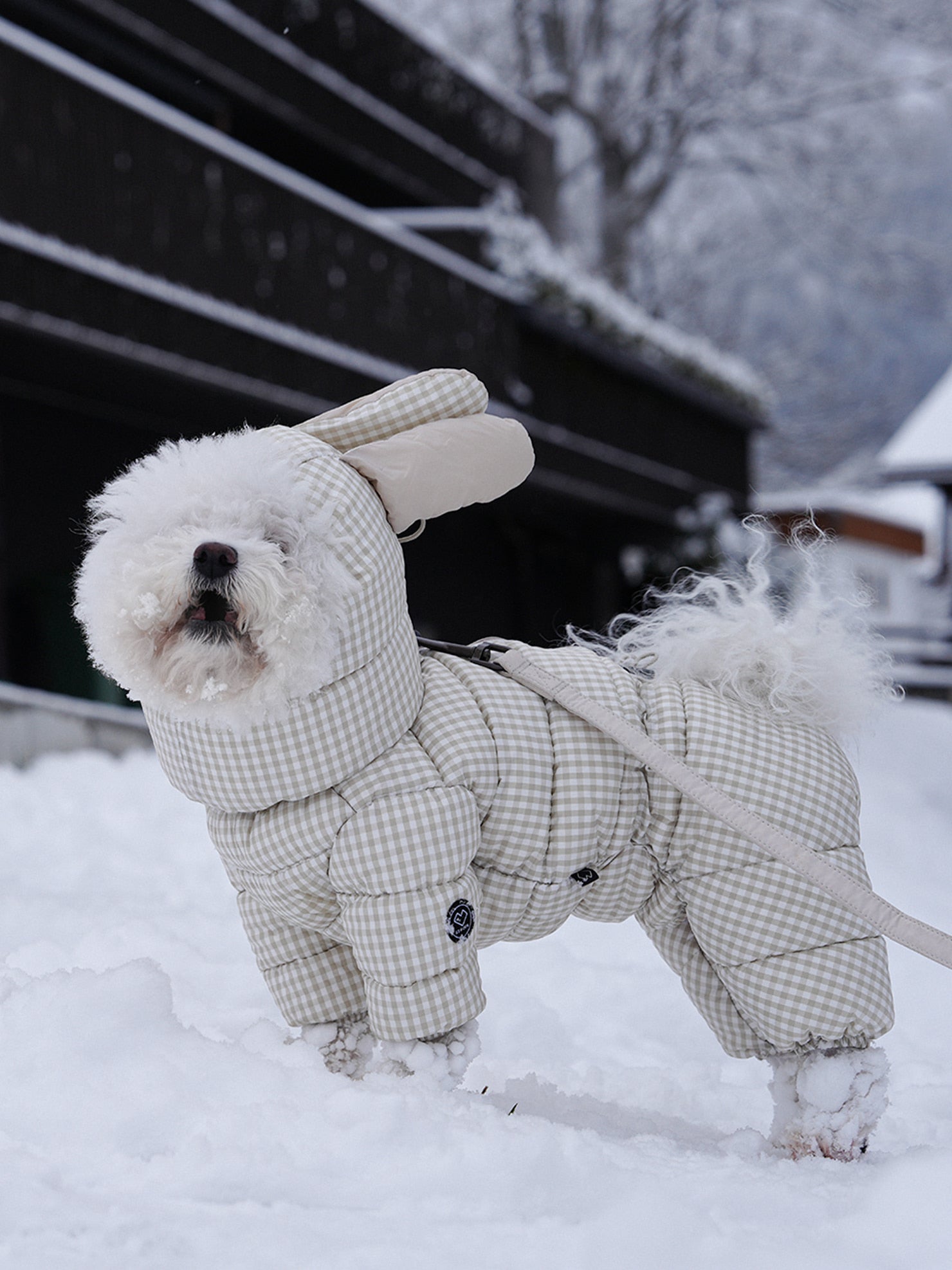 [SO-OW872] SSOOOK GooseFeel Check Padded Coveralls 3 (For Girls)