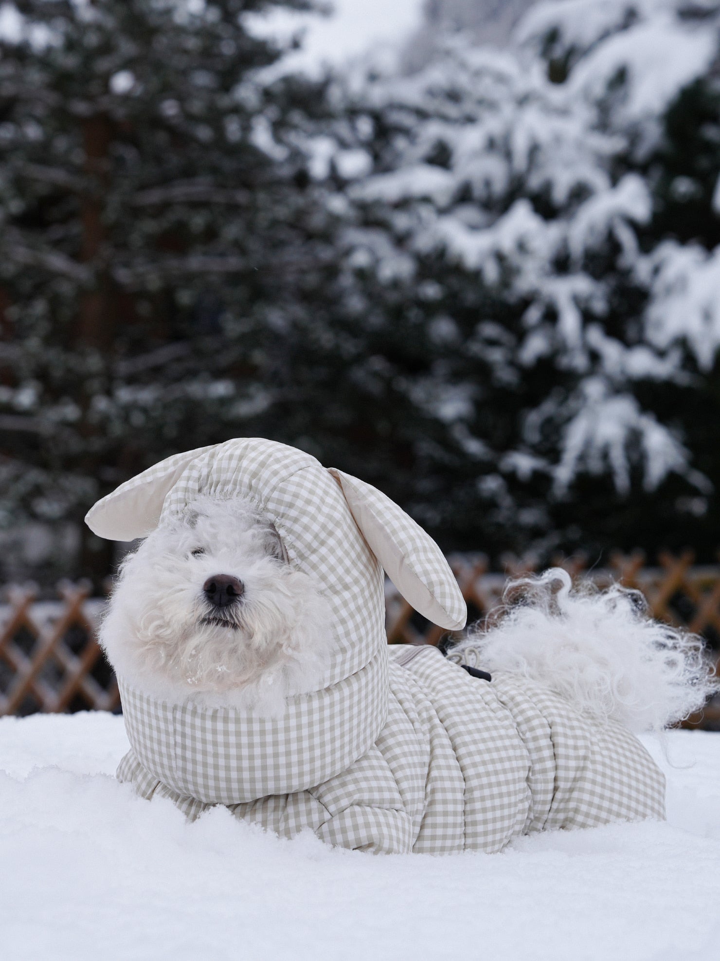 [SO-OW872] SSOOOK GooseFeel Check Padded Coveralls 3 (For Girls)