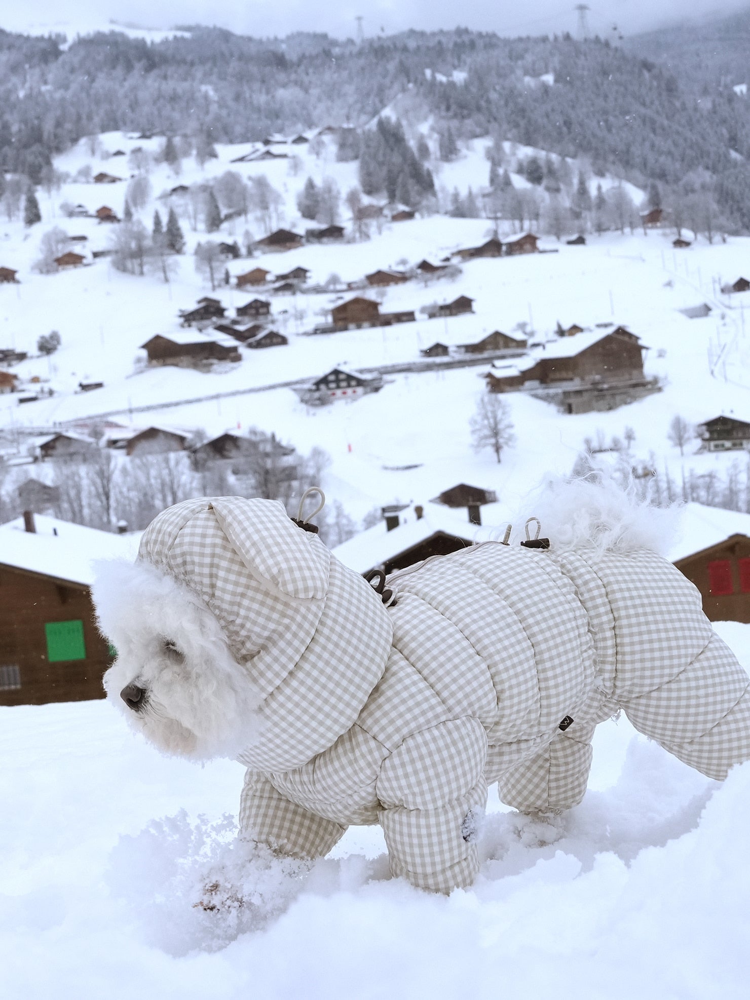 [SO-OW872] SSOOOK GooseFeel Check Padded Coveralls 3 (For Girls)