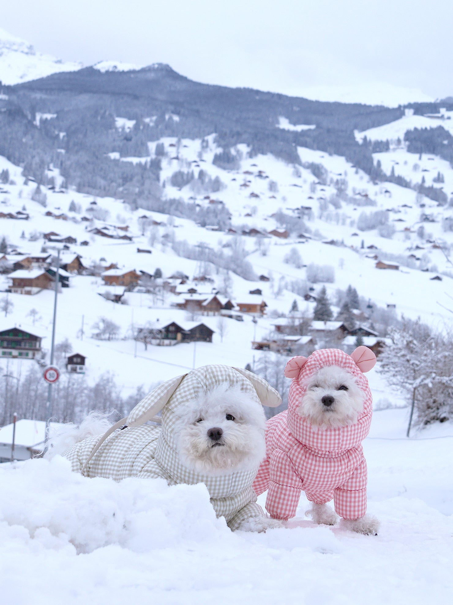 [SO-OW871] SSOOOK GooseFeel Check Padded Coveralls 3 (For Unisex)