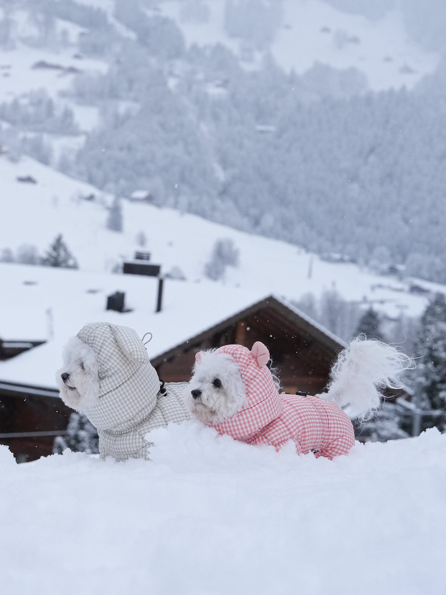 [SO-OW872] SSOOOK GooseFeel Check Padded Coveralls 3 (For Girls)