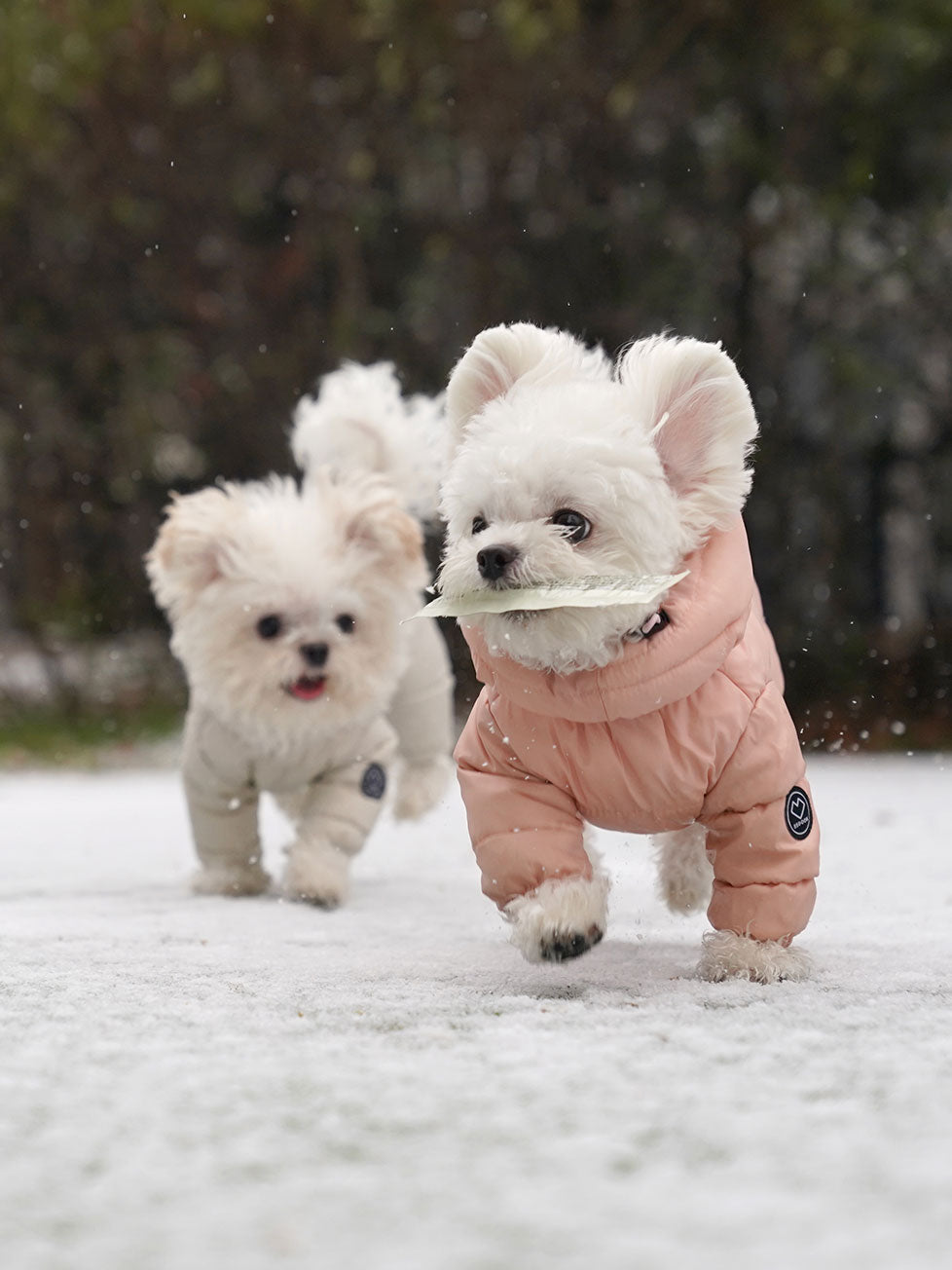 GooseFeel Winter Outer – SSOOOK