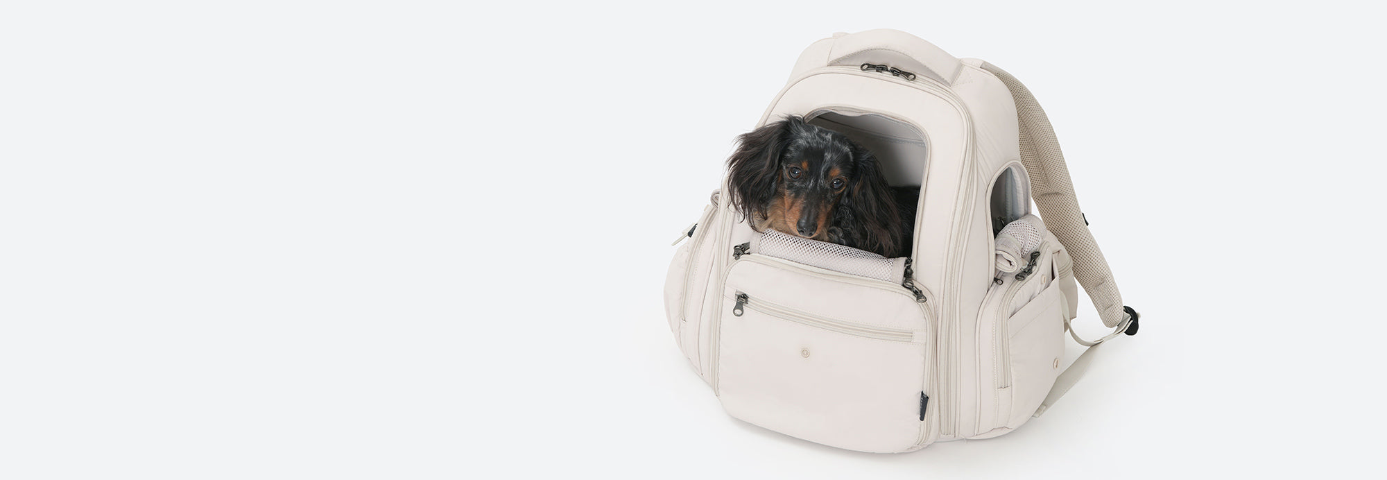 Small Dog Backpack Carriers & Car Seats | SSOOOK