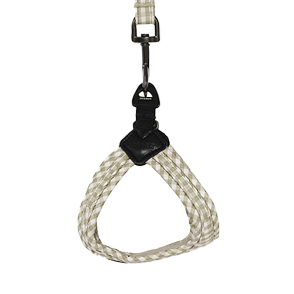 [SO-HA013] SSOOOK Check Harness (Buckle Type)
