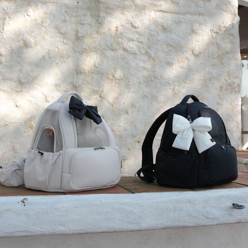 SO-CA419] SSOOOK Mesh Front Bag (V. Double Window)