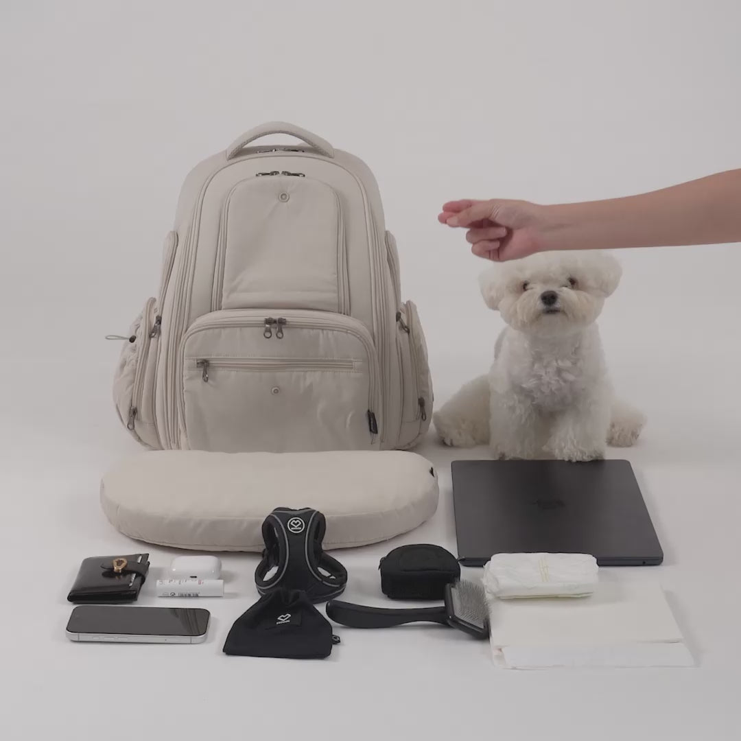 [SO-CA431] SSOOOK Backpack Carseat