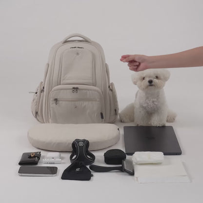 [SO-CA431] SSOOOK Backpack Carseat