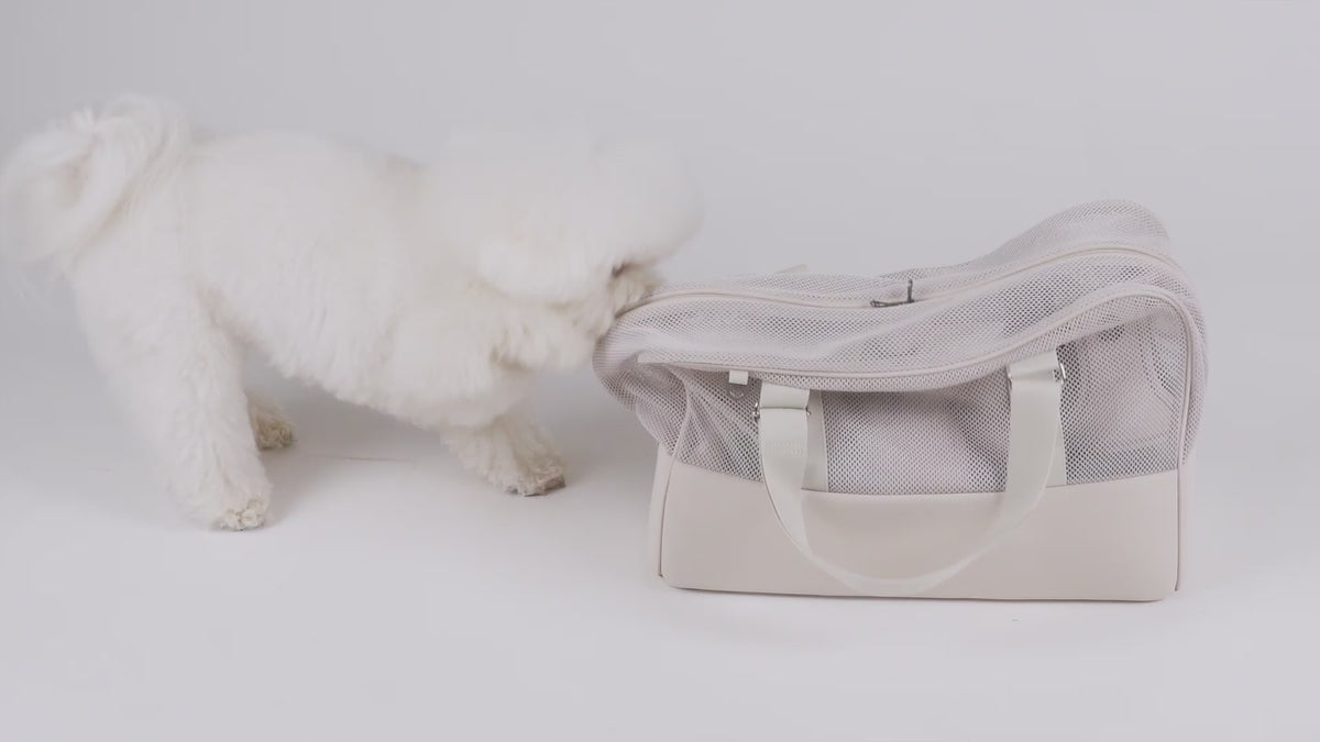 [SO-CA031] SSOOOK SOFT MESH BAG